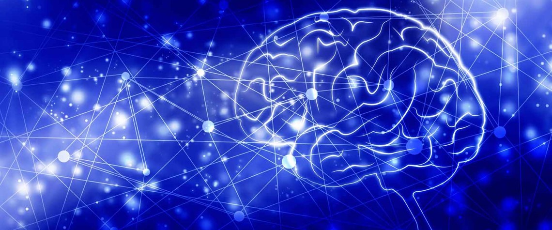 نوروپلاستیسیتی